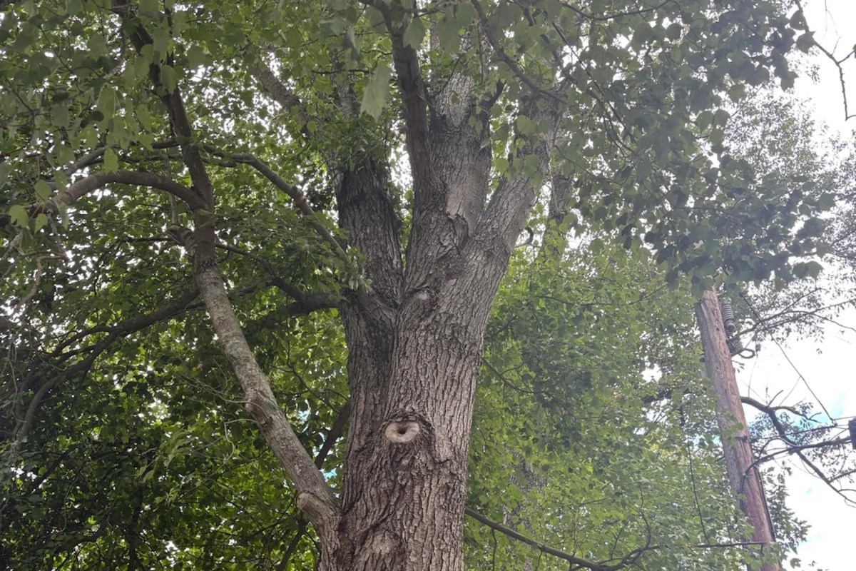 It could have a domino effect.