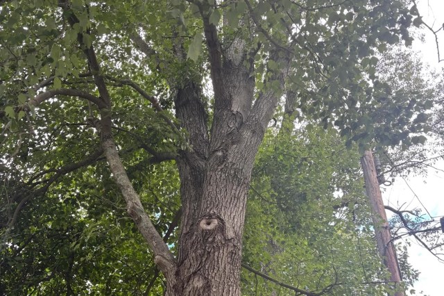 It could have a domino effect.