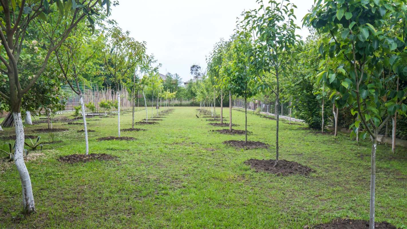 "I would seriously recommend you demand they redo it."