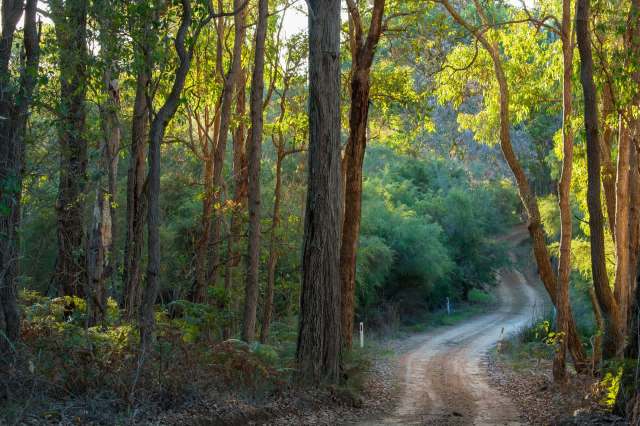 Thousands of residents will be able to take advantage.