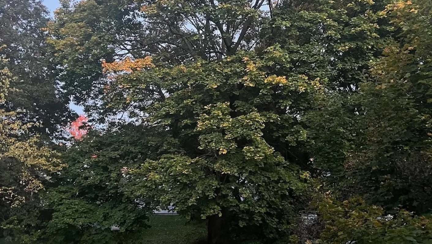 "This is probably the worst violation I've seen posted here."