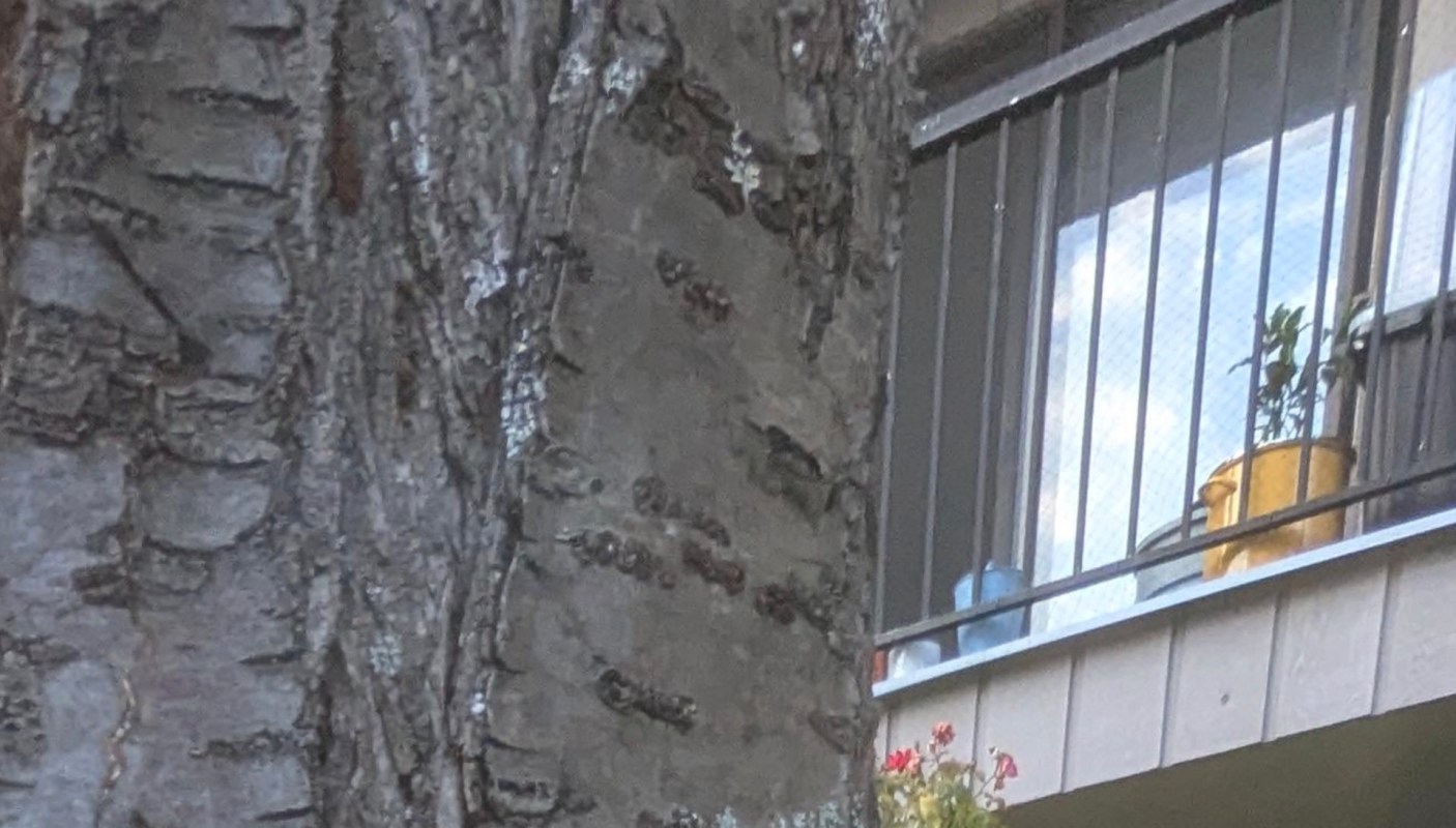 The Reddit thread filled with blunt responses.