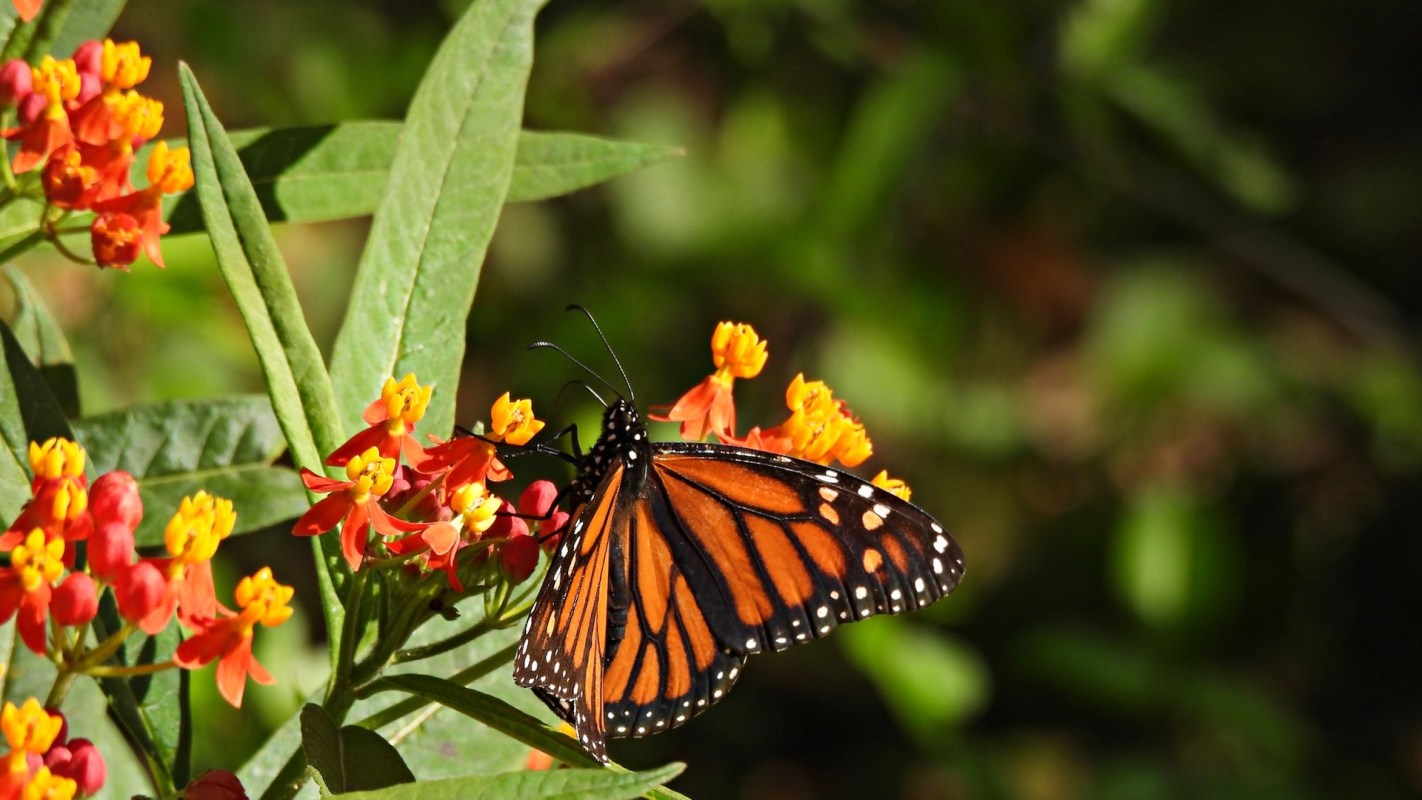 There are steps residents can take.