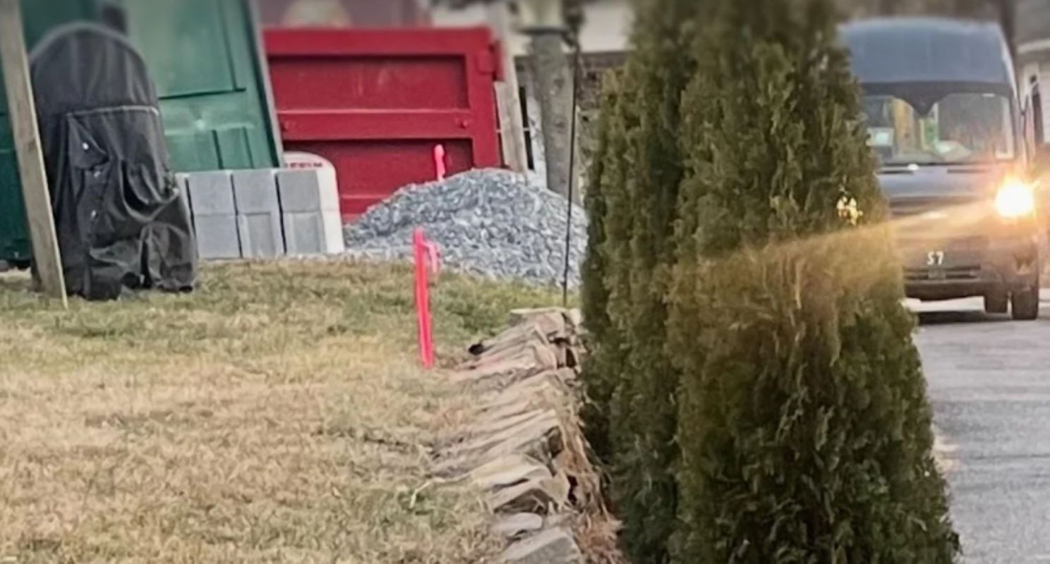 "Don’t waste money on lawyers."