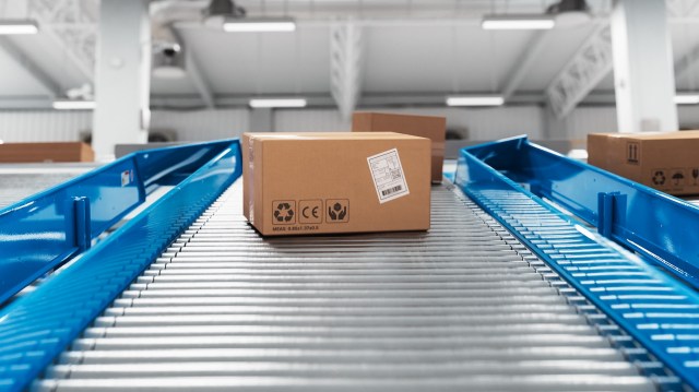 "Fourth largest organized crime in the world."