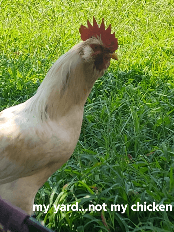 Commenters offered a mix of empathy and practical solutions.