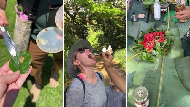 "Let’s eat the invasives out of existence!"