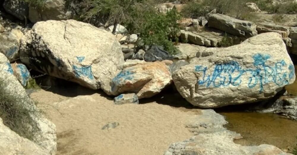 "They are cowards who know what they are doing is wrong."