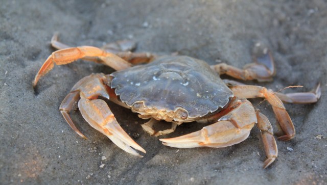 The footage spread quickly.