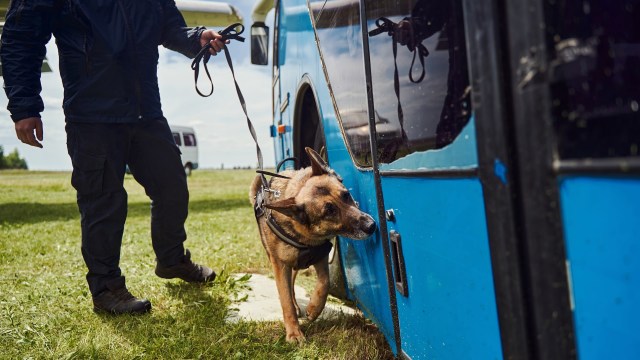 The driver was arrested.