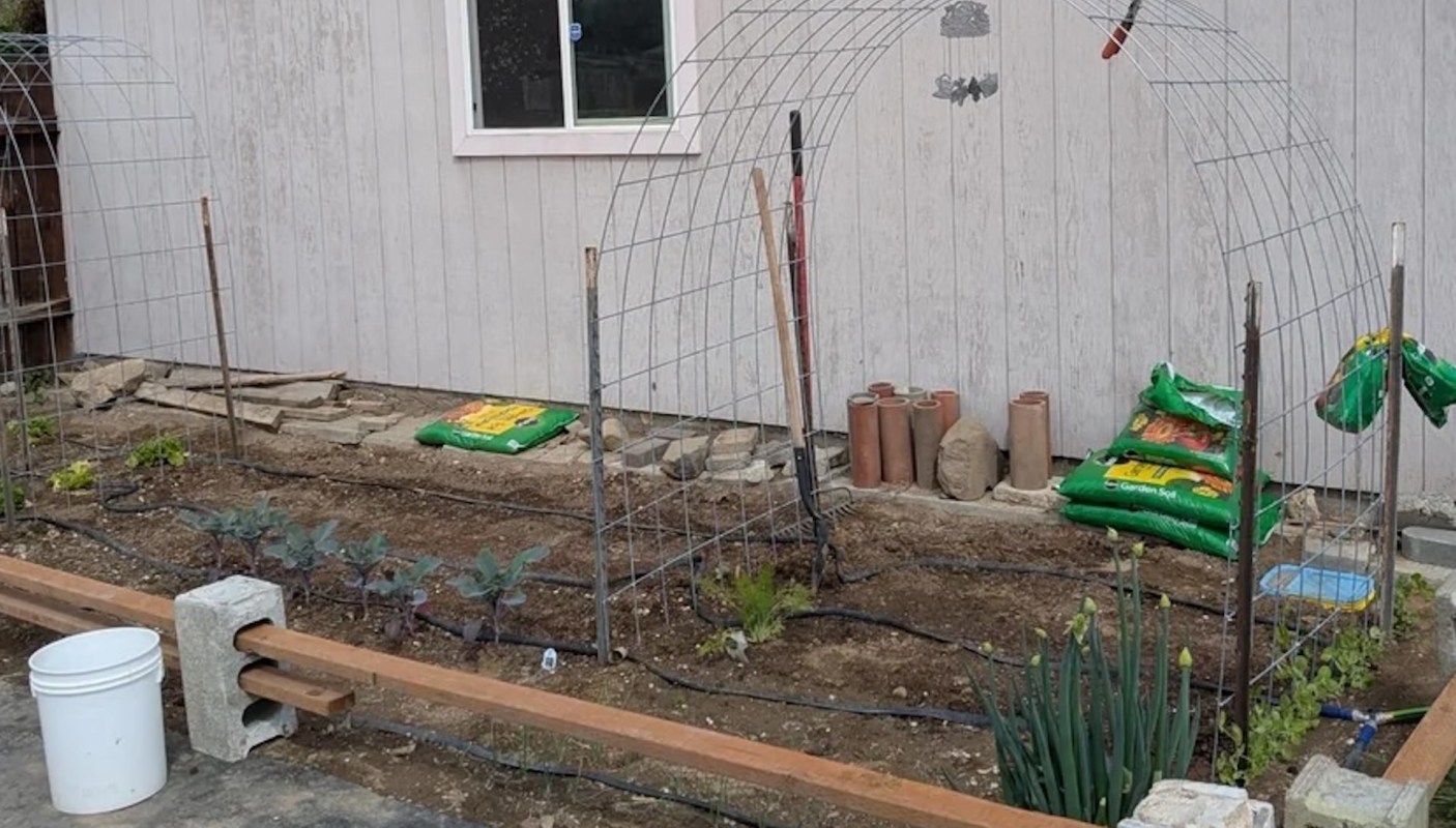 "I step out there and check everything out, and it just makes my mind go quiet."