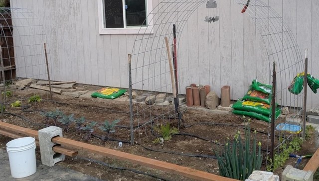 "I step out there and check everything out, and it just makes my mind go quiet."