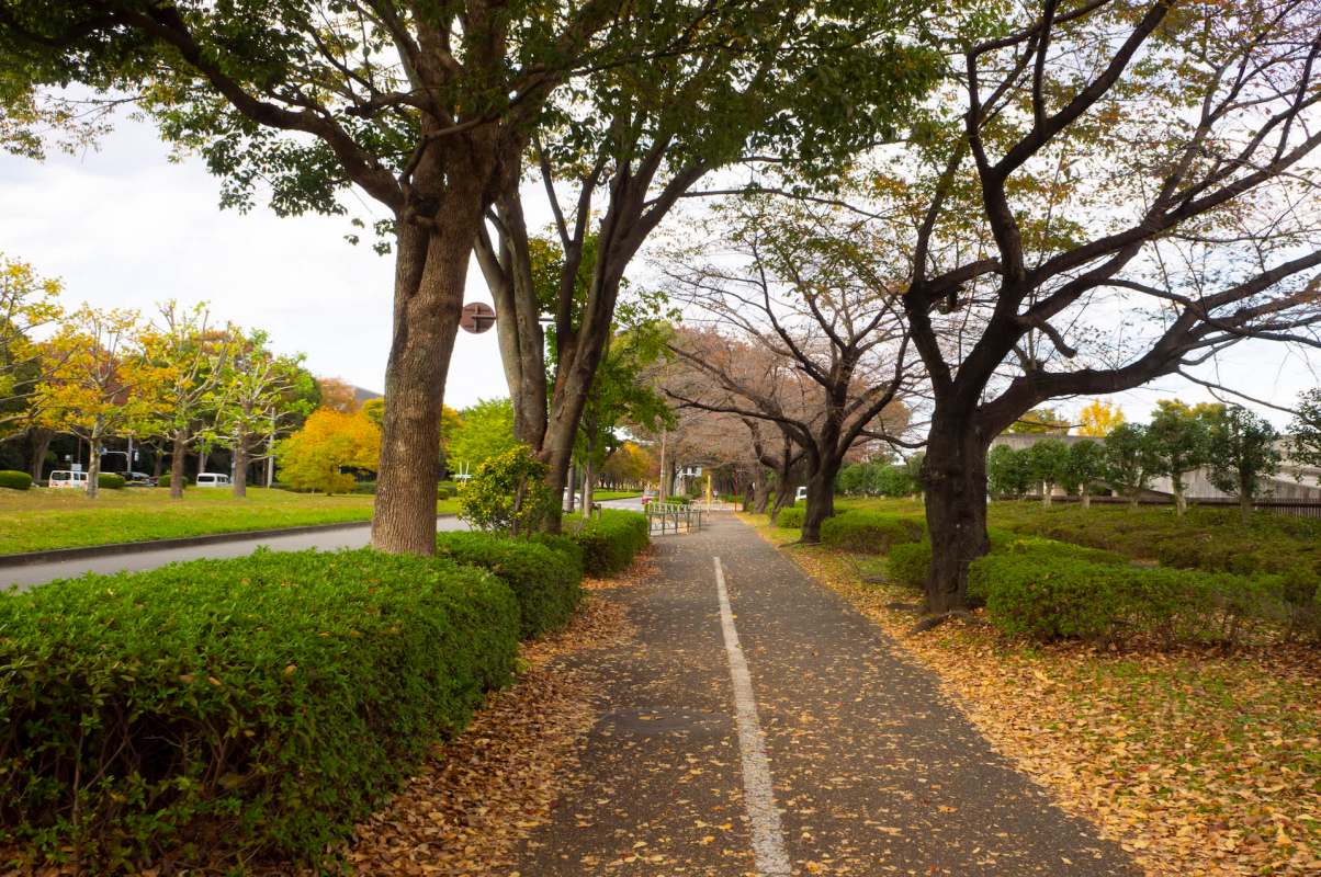 Other concerned locals chimed in.