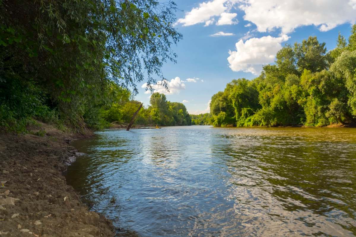 It’s a hostile takeover.