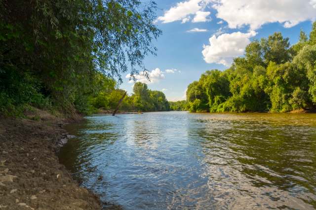 It’s a hostile takeover.