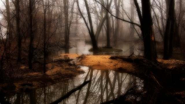 "No one is measuring these harms."