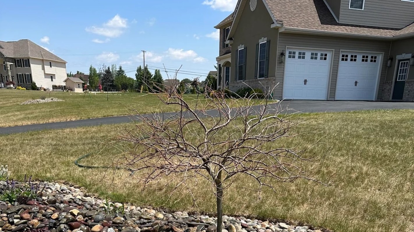 Commenters on the Reddit post tried to guide the OP.