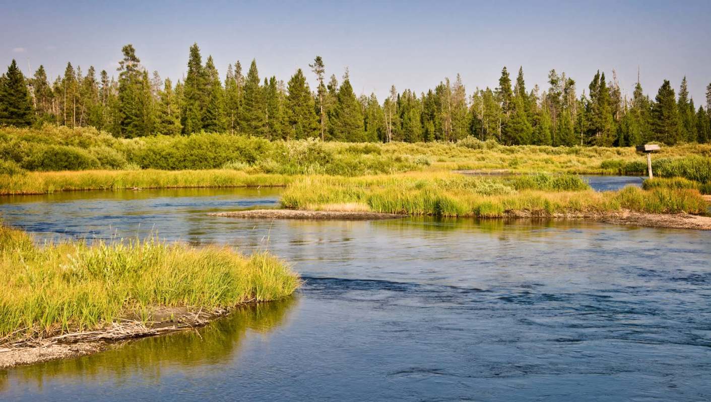 There’s every reason to be optimistic.