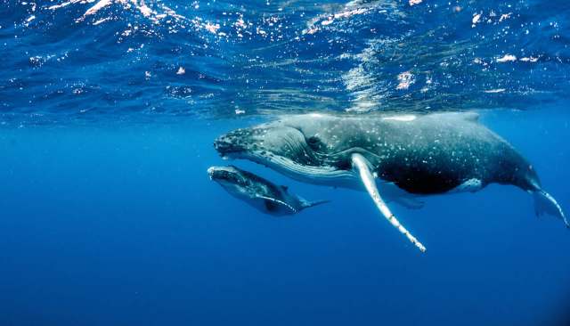 "This is very cool!"