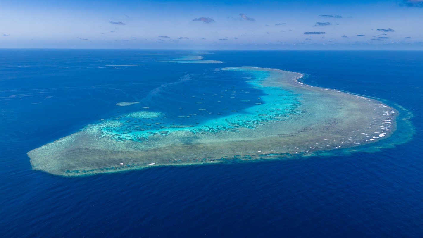 The groups are sometimes called "constellations."