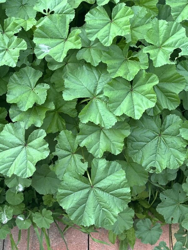 However, not all is as it seems.