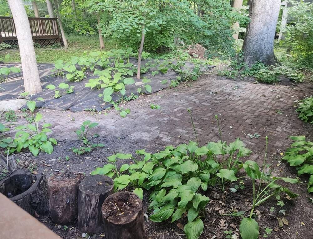 Commenters on the Reddit post had suggestions.