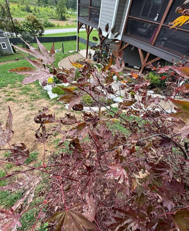 "I'd rather not start all over if I don't have to!"