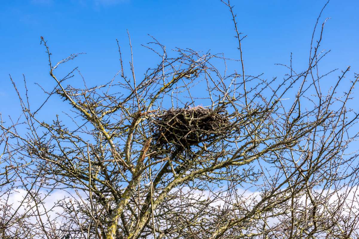 "We have been patiently monitoring."