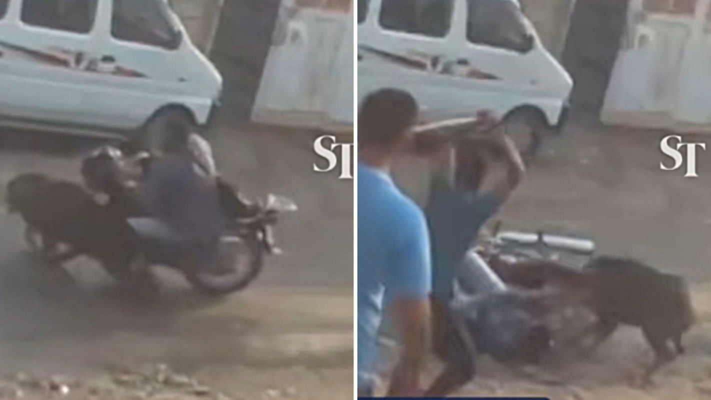 The video shocked social media users.