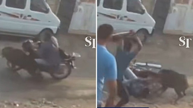 The video shocked social media users.