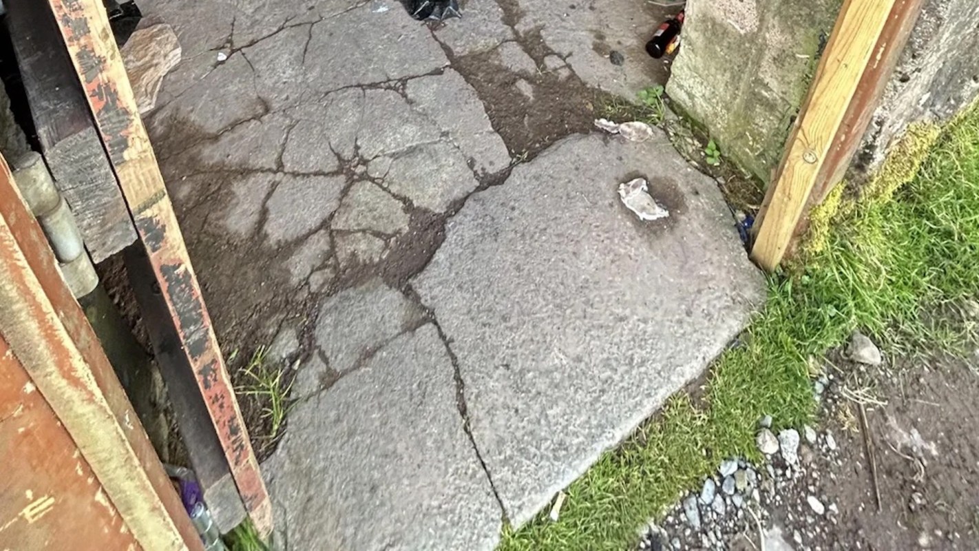 "I'm seeing a lot of it this year."