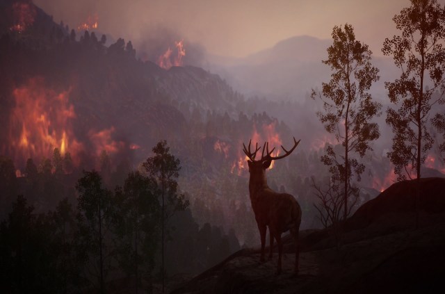 "The distribution of resources has also changed."