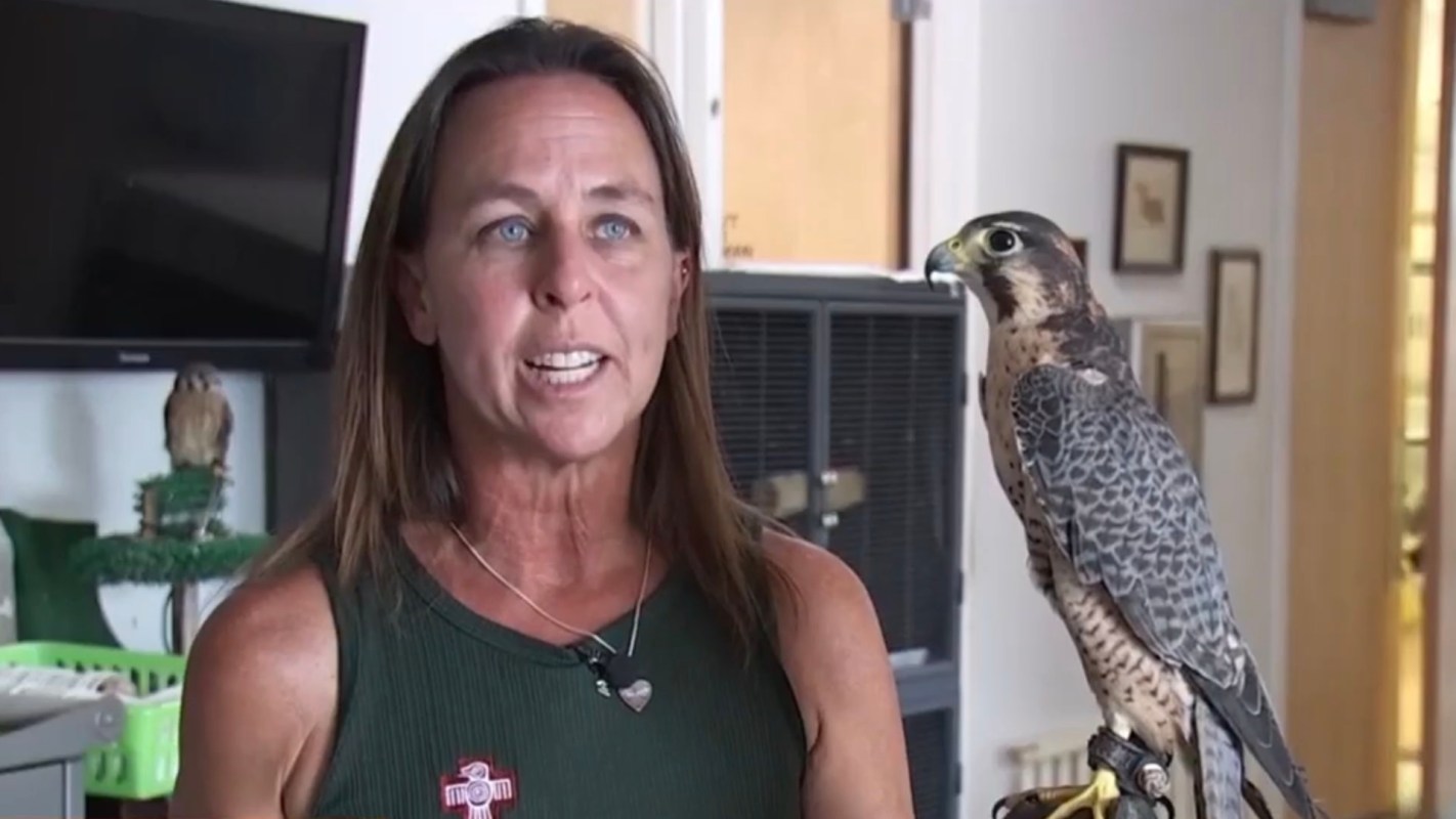 The rescue evaluates each animal individually.