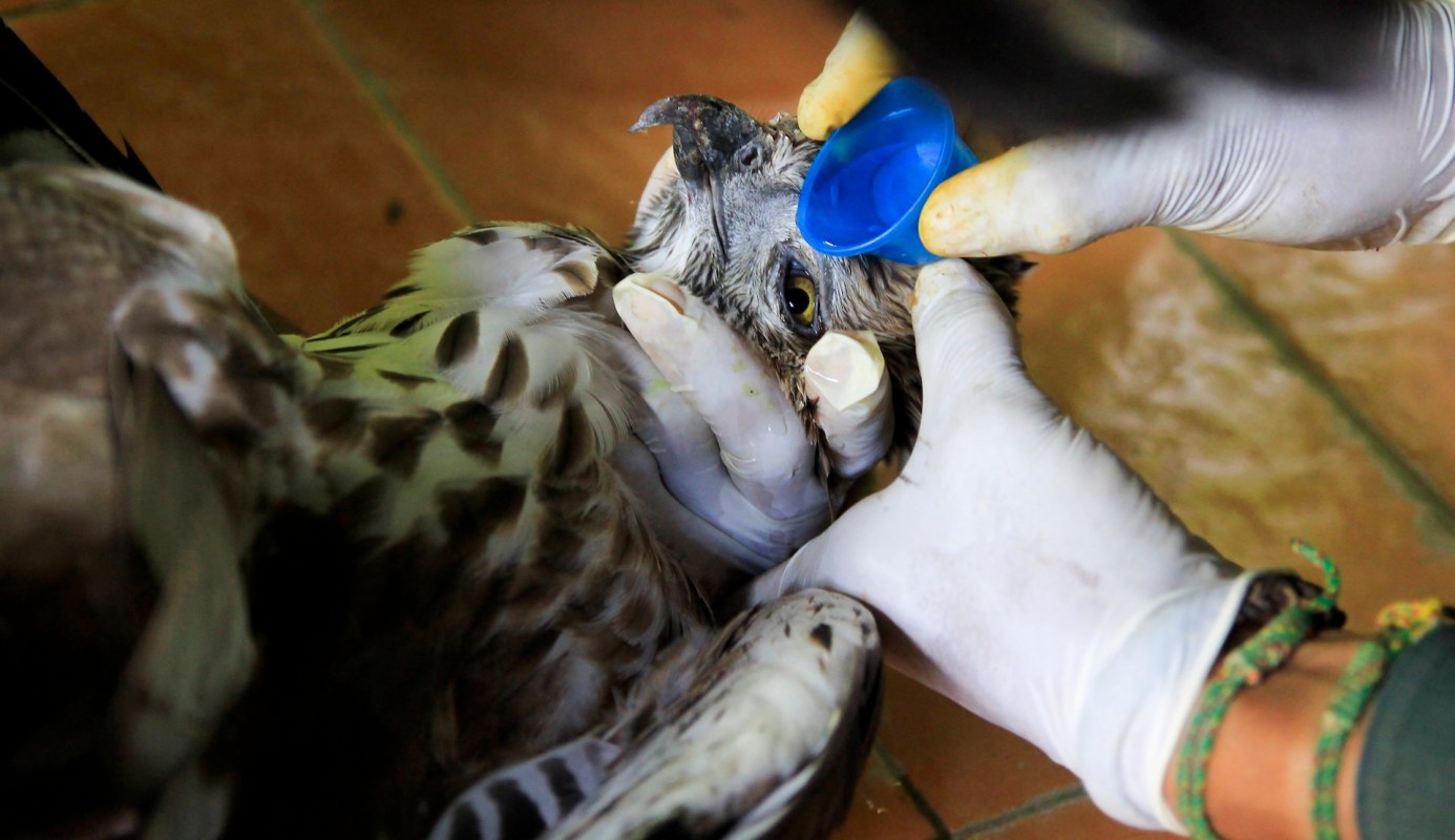 "I’m just super proud of our community."