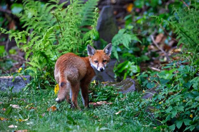 "Has a massive impact."