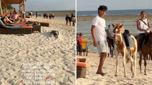 "This makes me cry."