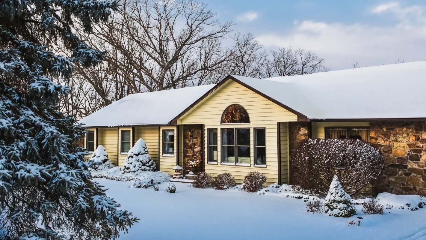 "I thought I was an adult until I found your videos — you’re such an adultier adult!"