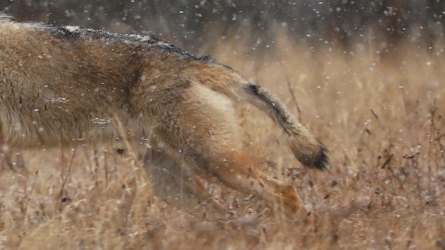 "People need to be mindful of the success story of the program."