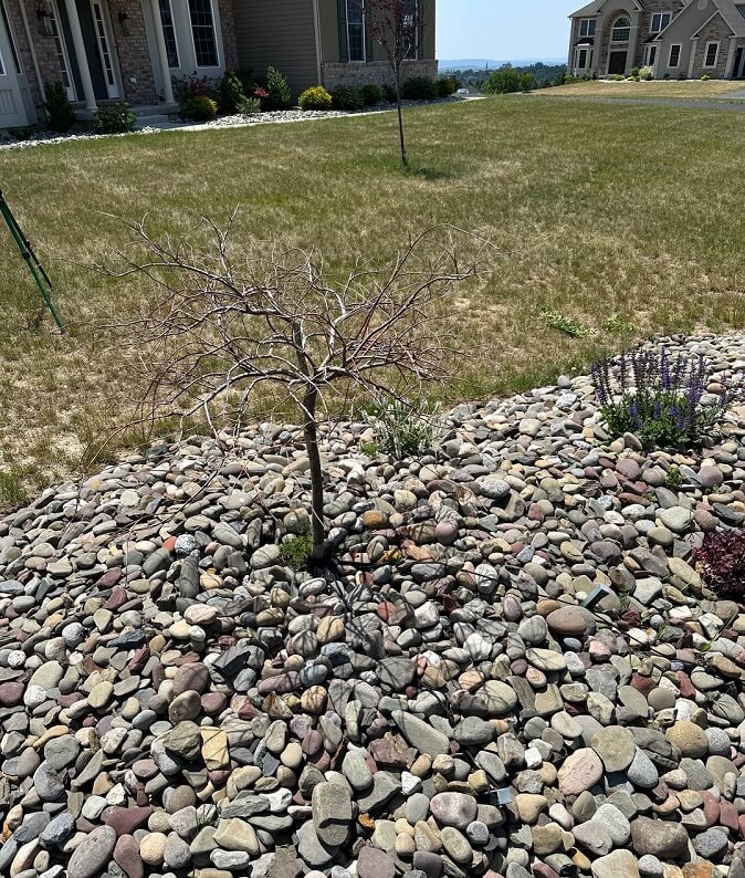 Commenters on the Reddit post tried to guide the OP.