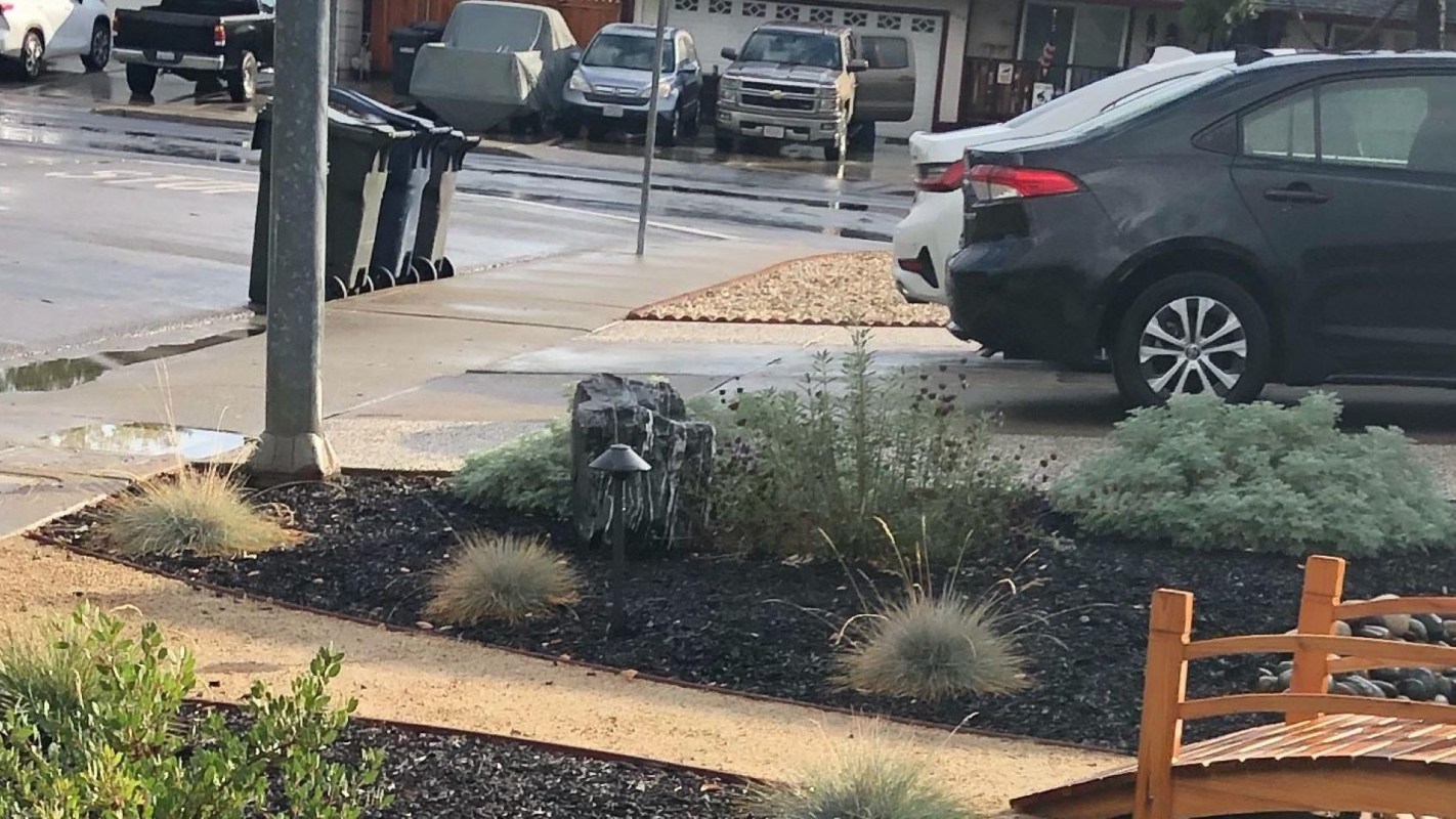 "This is how my dream yard would look."