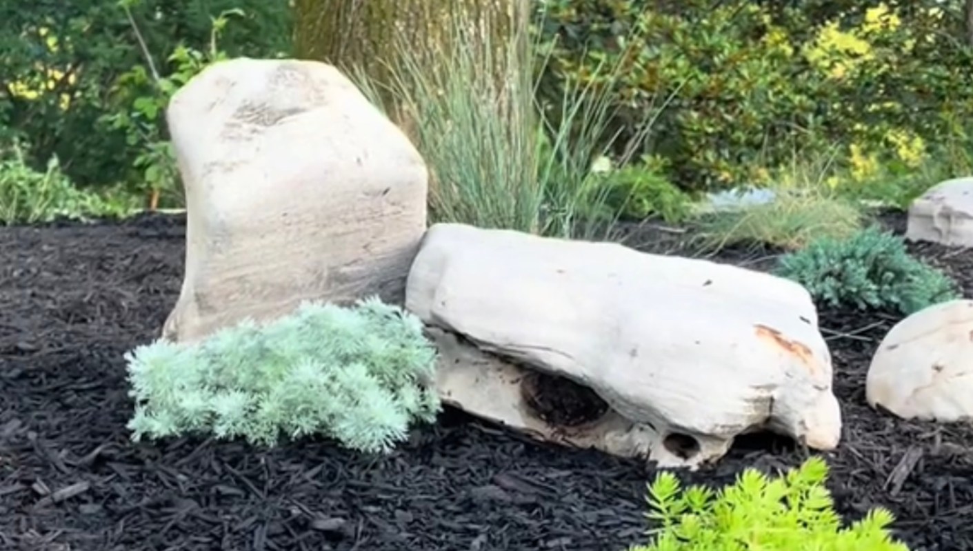 "We kept it budget-friendly."