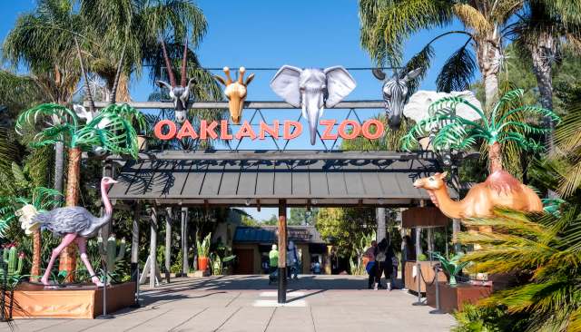 They are smaller than a golf ball.