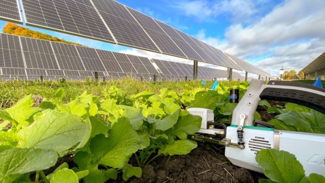 "We need to be able to find solutions."