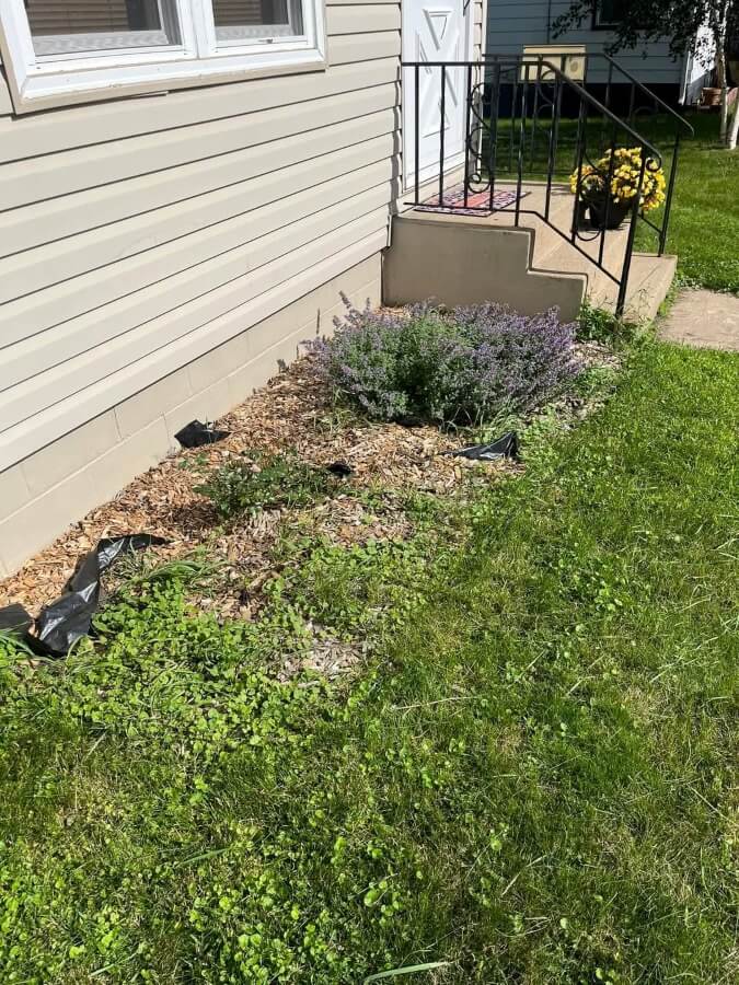 Commenters chimed in.