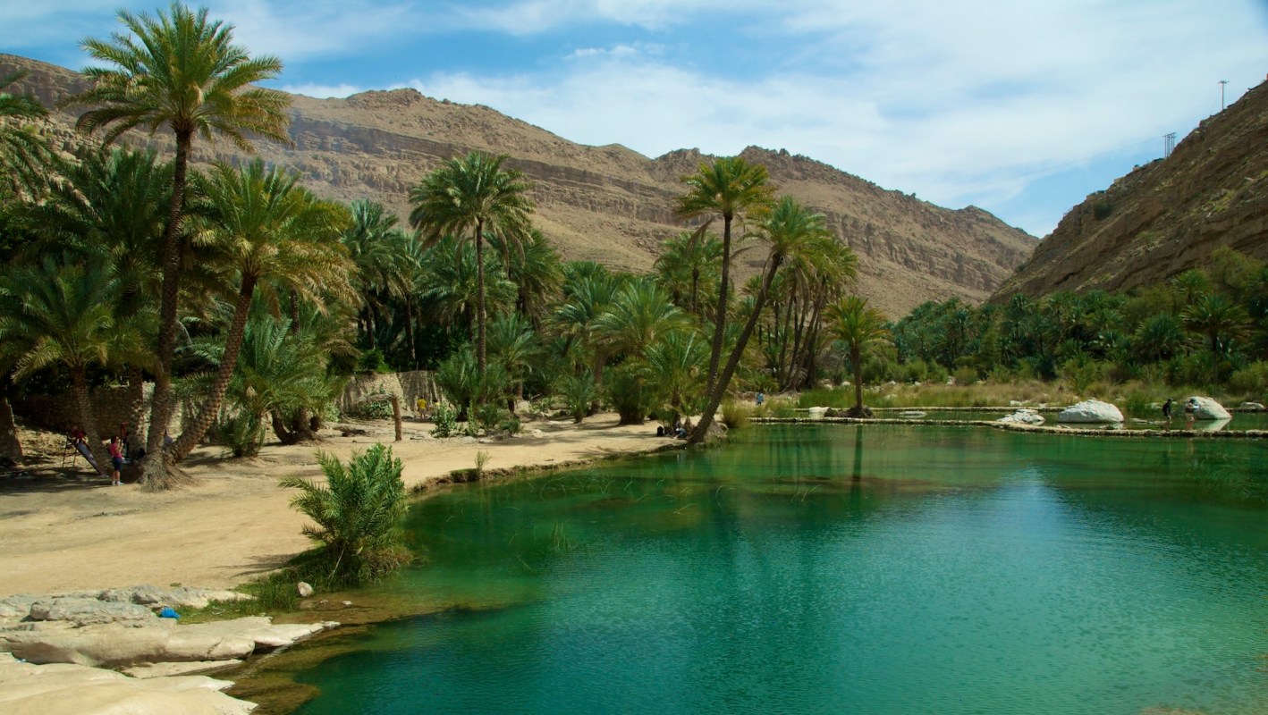 The story underlines the immense usefulness of trail cameras in conservation efforts.