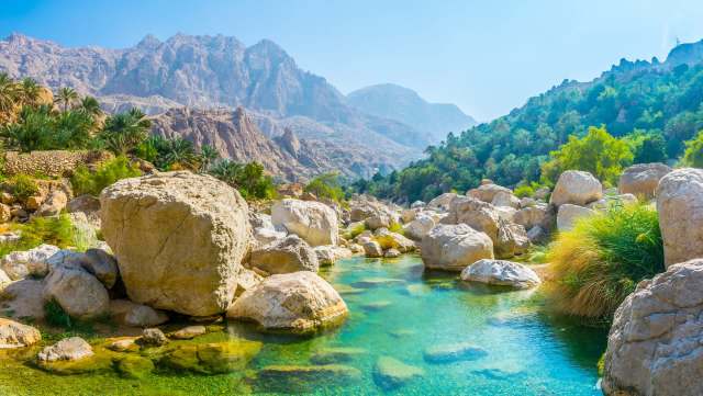 This is the first time Arabian leopards have been filmed hunting, and the startling footage could be key to their survival.