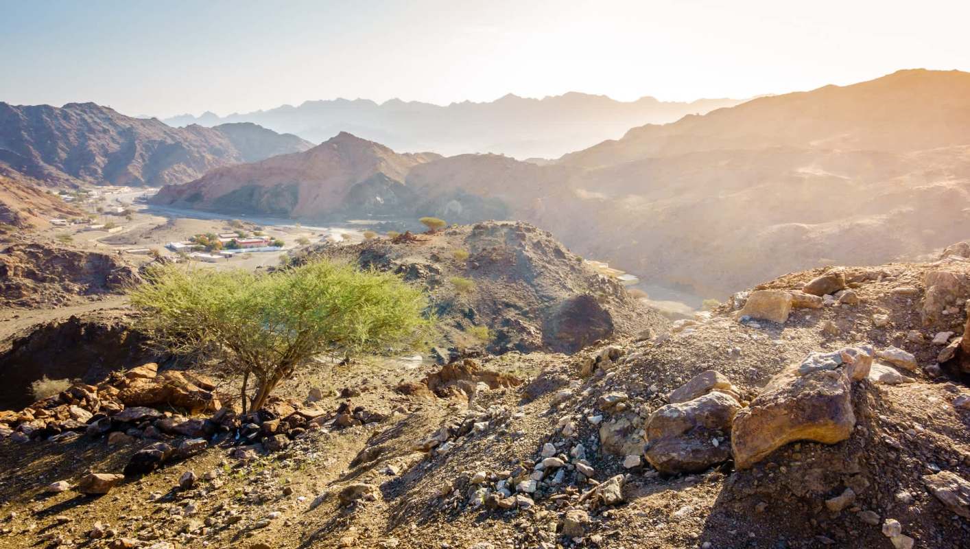 Researchers in the United Arab Emirates are celebrating a breakthrough for wildlife conservation after trail cameras in Fujairah's Wadi Wurayah National Park captured stunning new images of a Critically Endangered Arabian lynx.