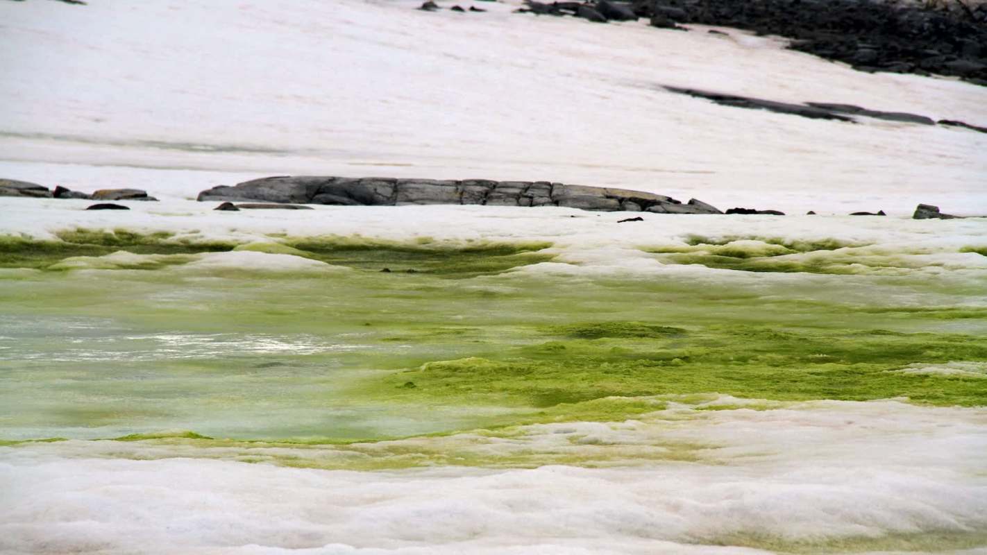 Raising awareness and educating on these issues has never been more critical.