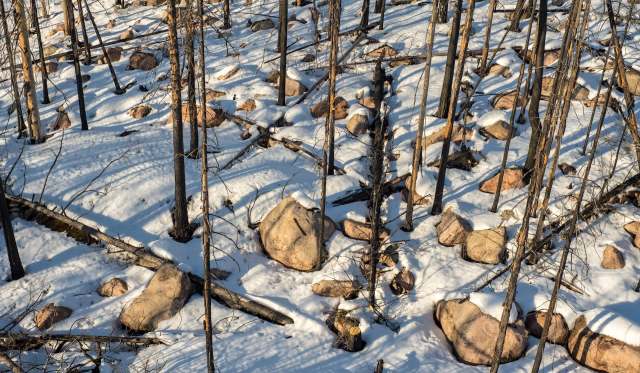 Researchers expect this trend to continue.