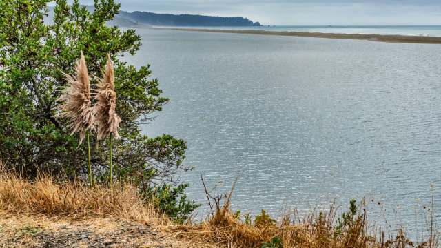 The Baduwa't (Mad River) Estuary Restoration Project was an enormous success, providing critical habitat for threatened California fish.